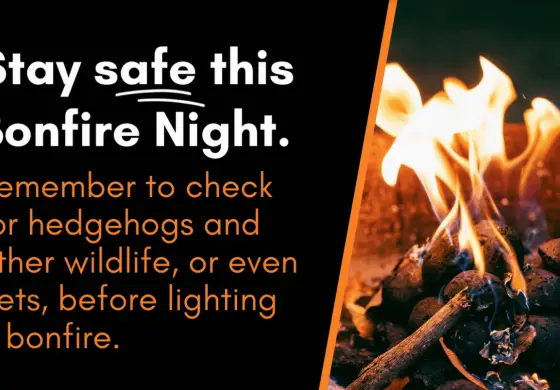 Essential fire safety tips for Bonfire Night 2020